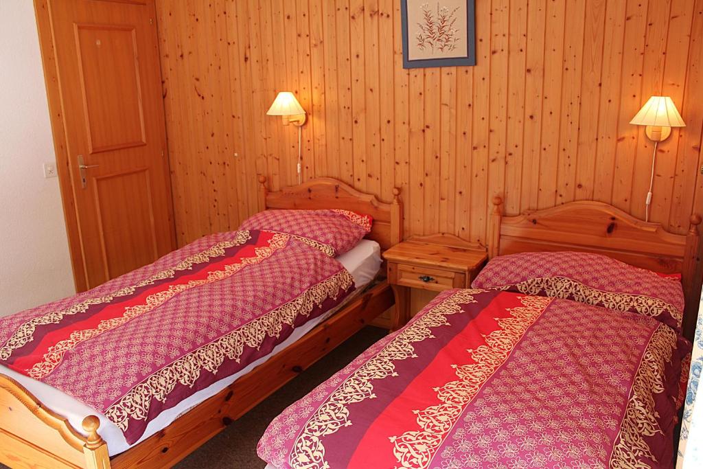 Bel Alp 2 Appartement avec jardin Evolene - 5