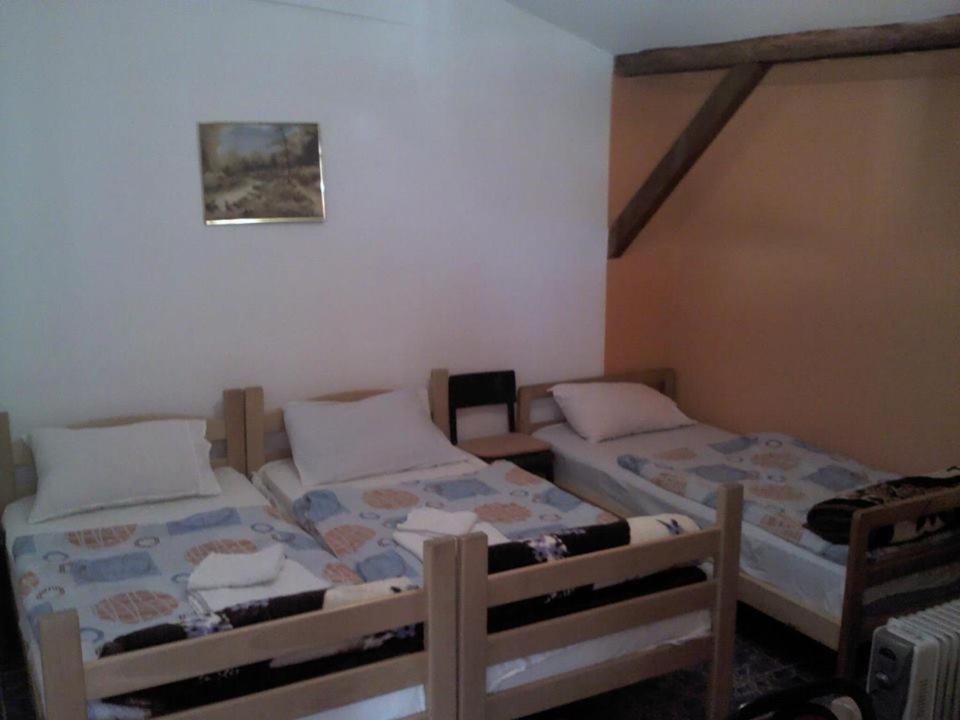 Prenociste Ruza - 2