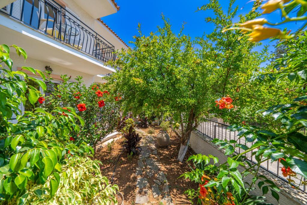 Dionysios Studios — Hotel building in Skala (Kefalonia), Ionian Islands
