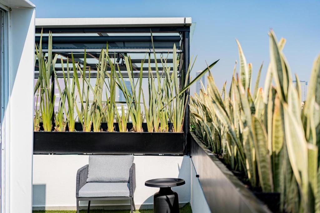 Mint Roma Residence - 3