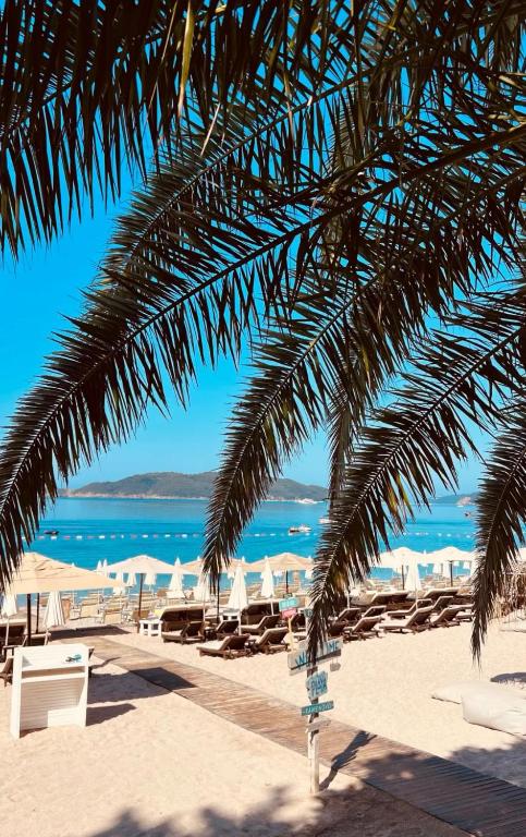 Apartments Petar - 4