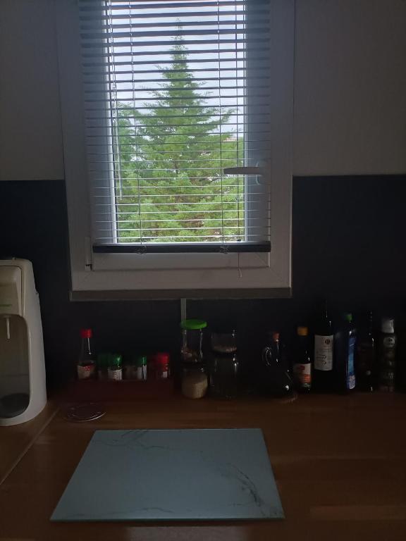 appartement Deux pièces au calme - 5