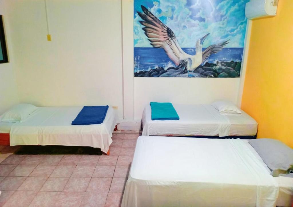 Hostal Puerto Ayora - 4