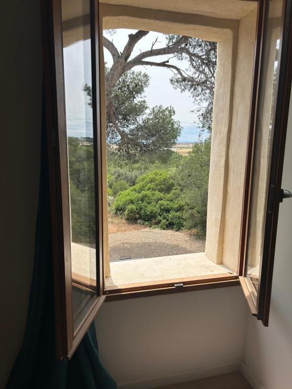 Maison au cœur de la garrigue - 3