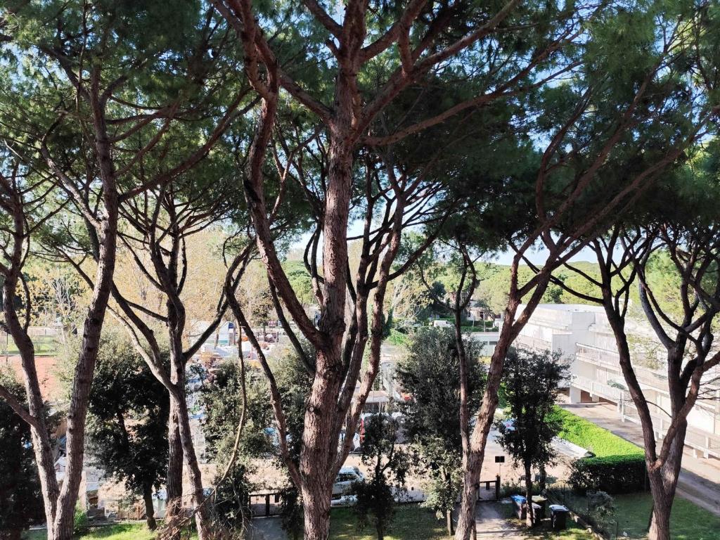 Apartment in Lido di Jesolo 50789 - 3