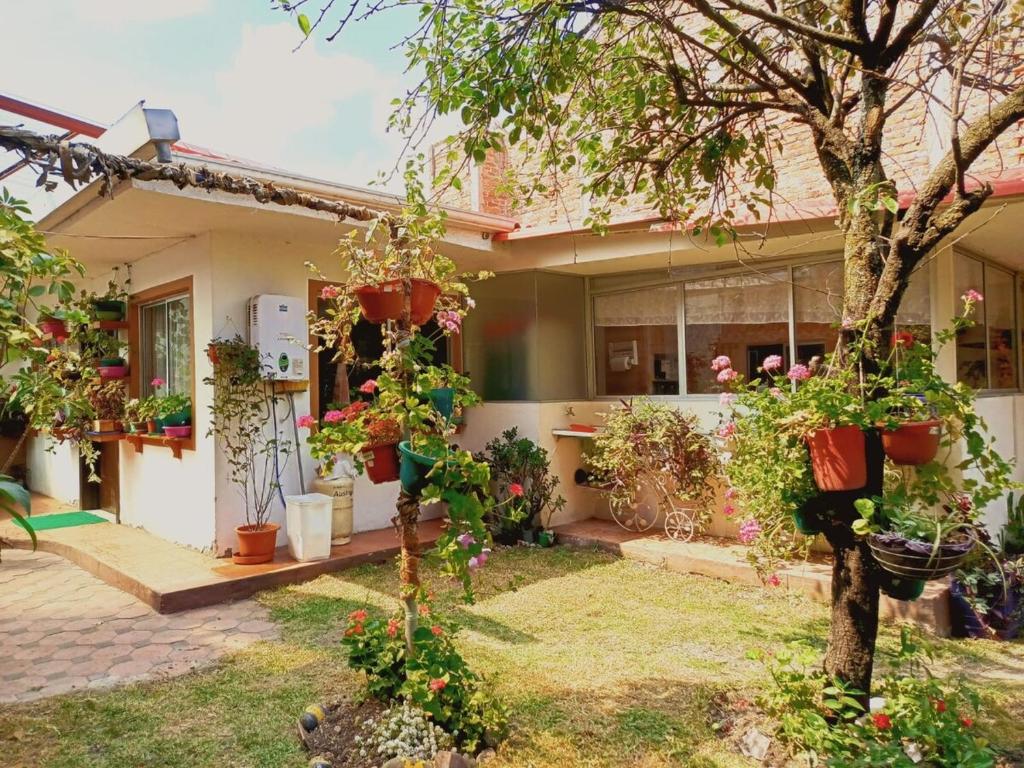 Grandma's house - 5