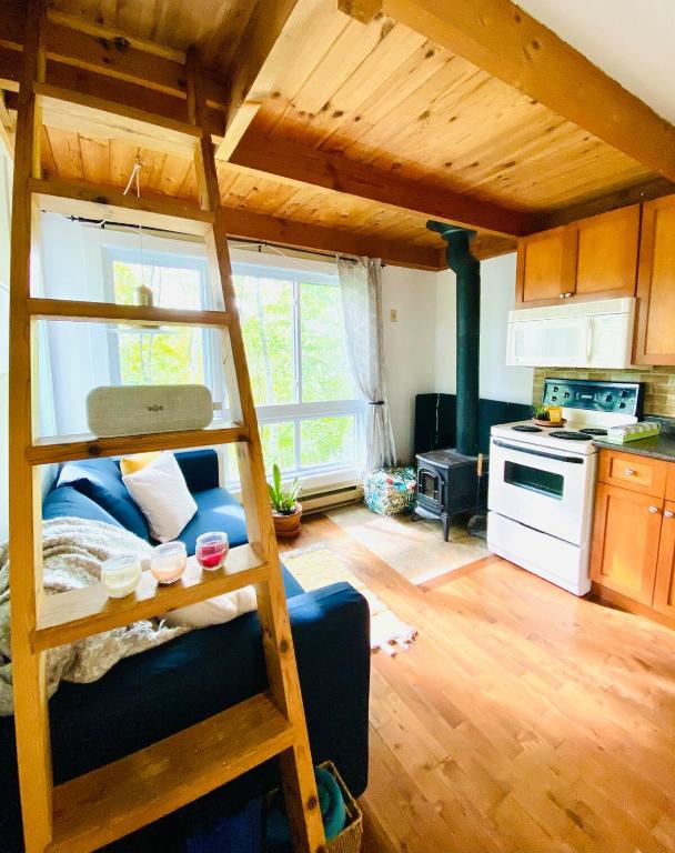 Le Tiny loft ski in ski out, Mont-Tremblant