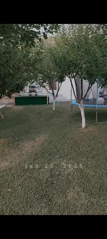 Apartman Alina&Alan 2 - 5