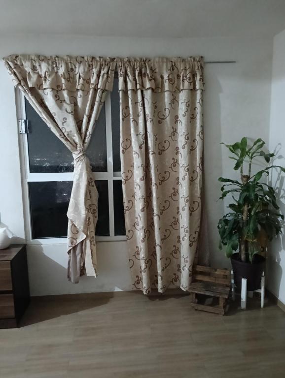 Habitación - 4