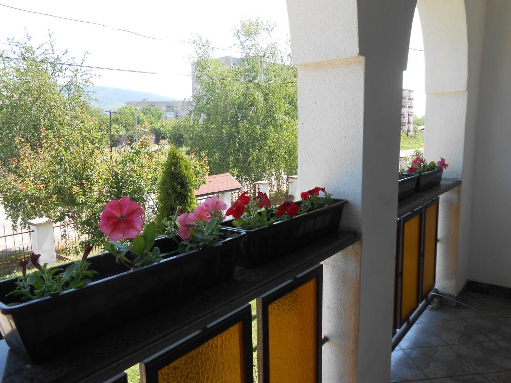 Guest House Marketti photo