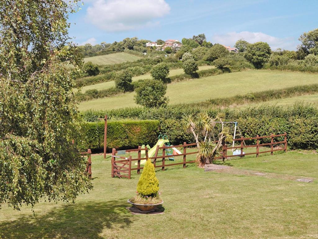 Palm Tree, Stokeinteignhead