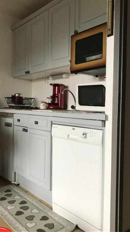 STUDIO POINTE DES ARAVIS 4 PERS HTE-SAVOIE - 3
