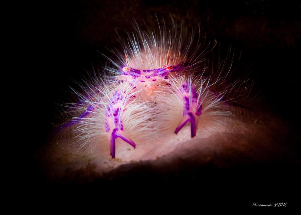 Sports and activities