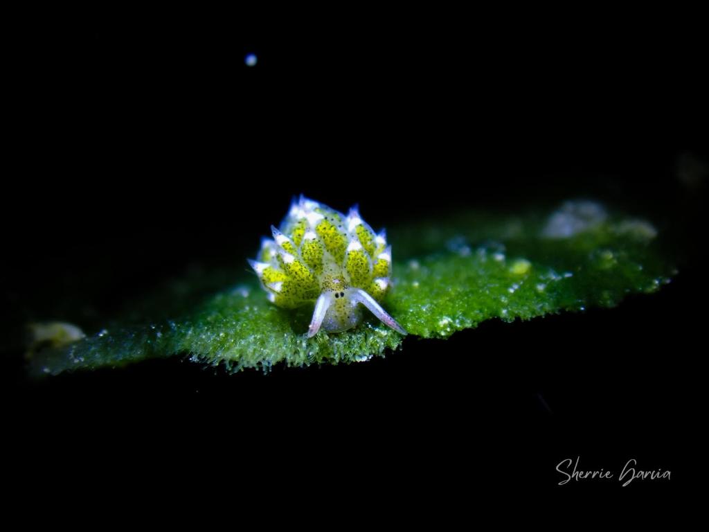 Sports and activities