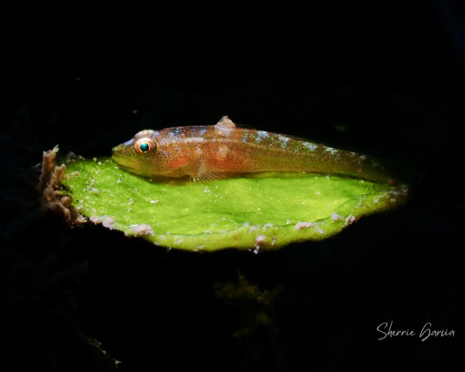 Sports and activities