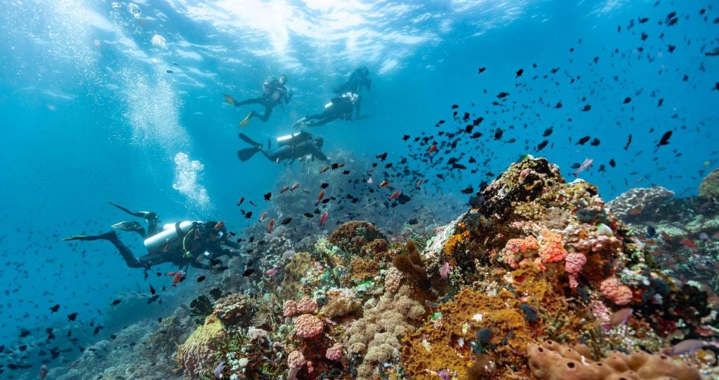 Surrounding environment