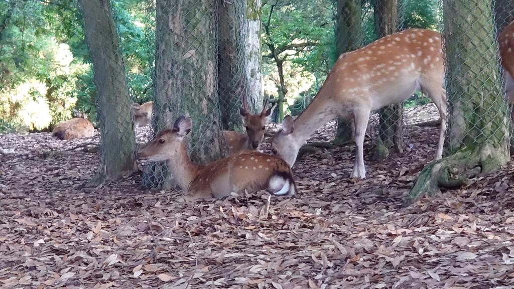 Nearby attraction