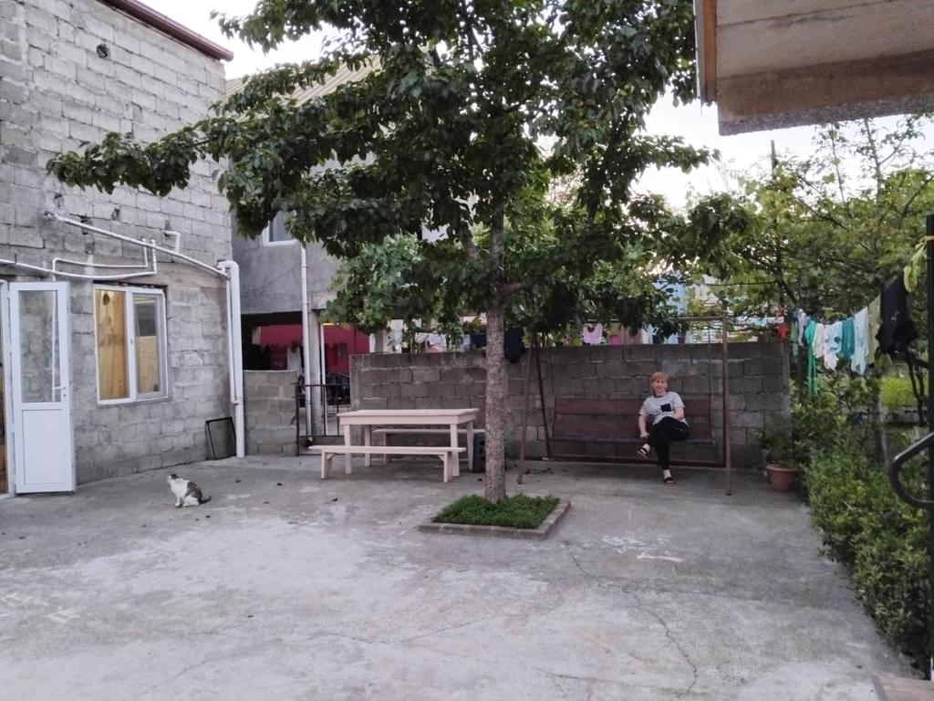 Ảnh 5