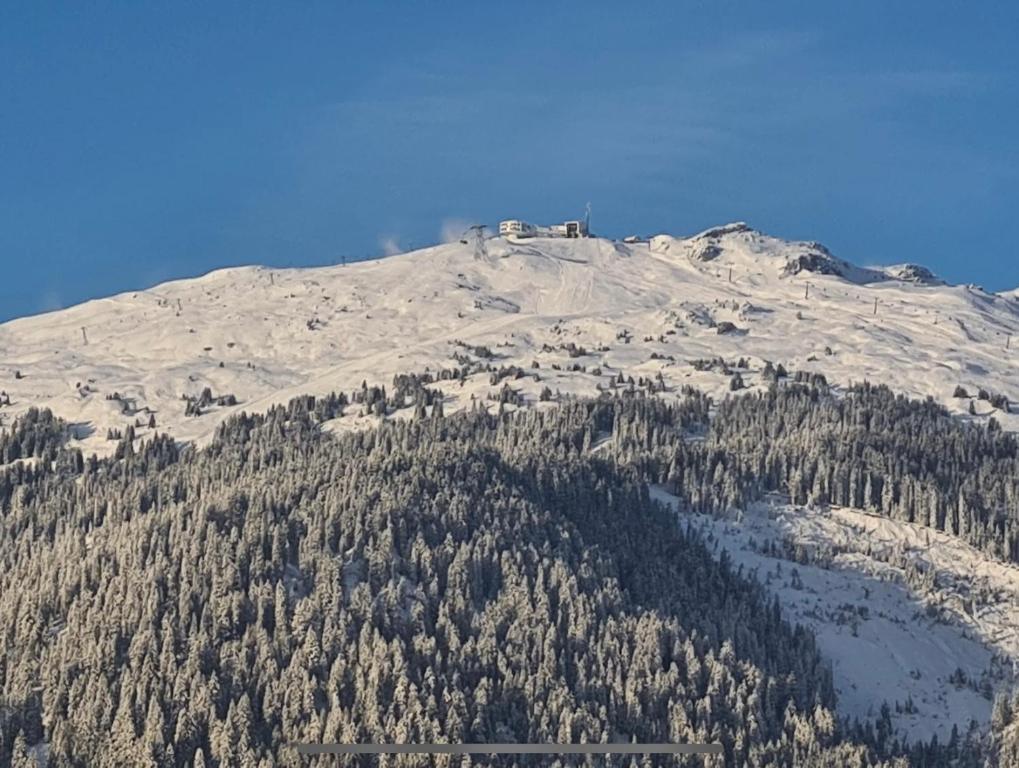 Crap da Flem - 3.5 Zimmer Ferienwohnung am Sonnenhang von Flims - 5
