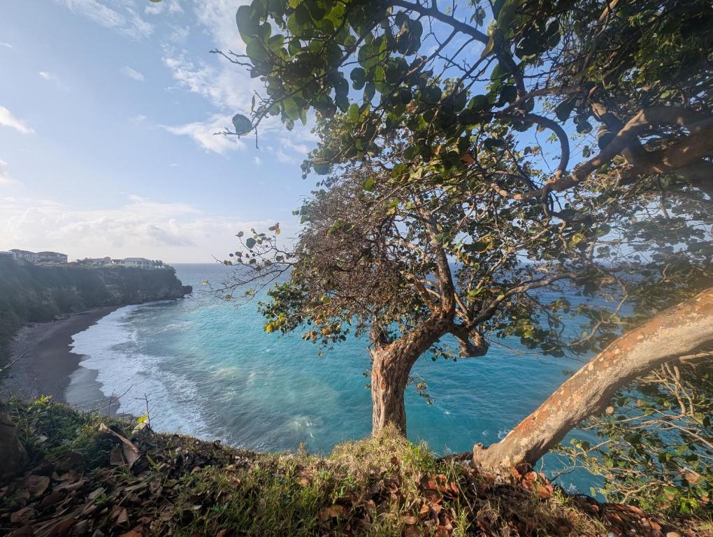 TwentyFive at Tower Isle, Tower Isle