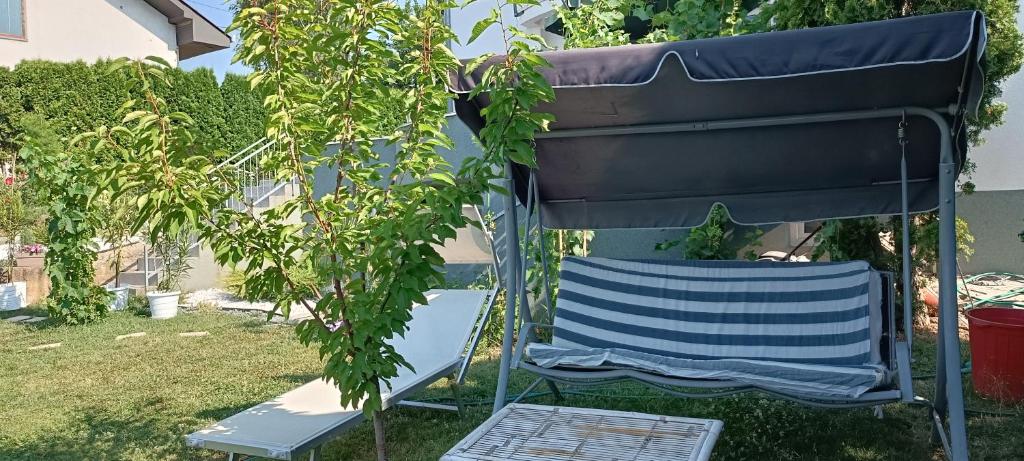Bella vista Šumarice - 4