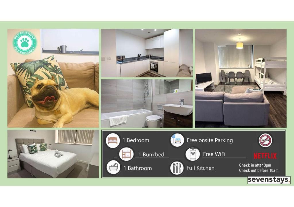 Pet-friendly 1BR Apt sleeps 4 in BMH Centre with Parking, Birmingham