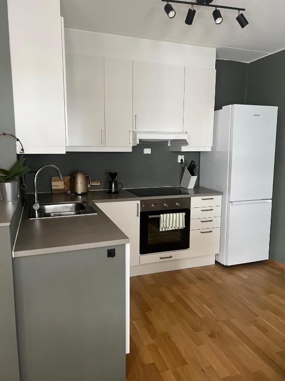 Flott leilighet sentralt i Oslo, Oslo