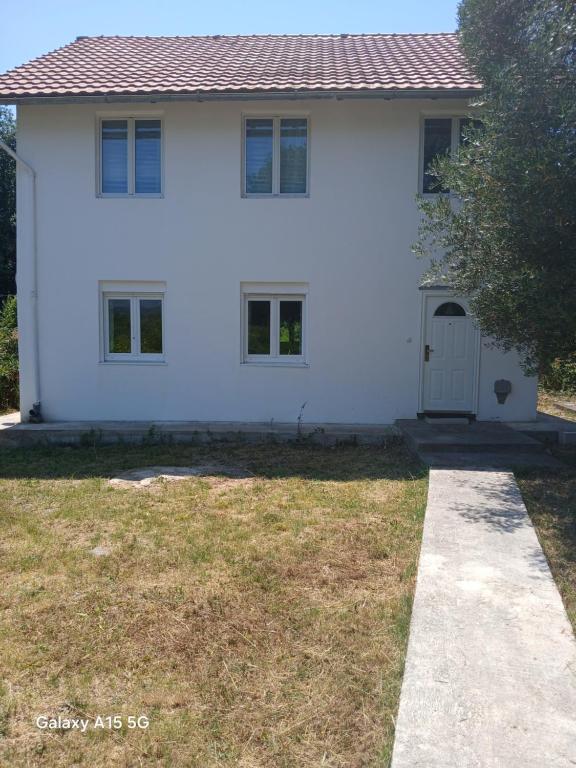Radovici Family House - 1