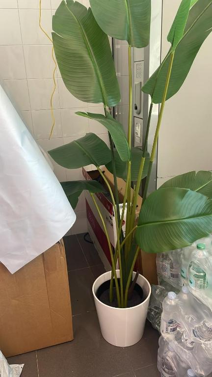 OleandroHouse N, Boloňa