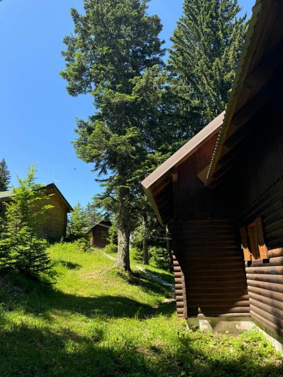 Planinska kućica - Jezera - 4