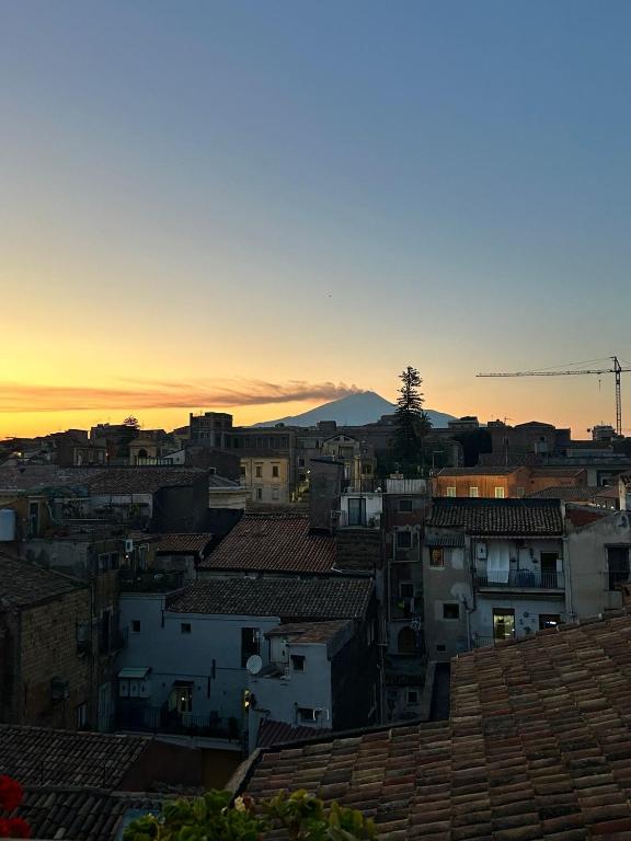 Suite Verga, Katánie