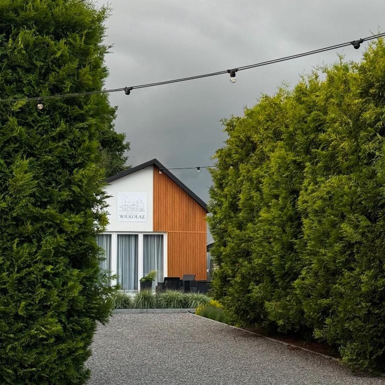 Stacja Wilkołaz, Wilkołaz