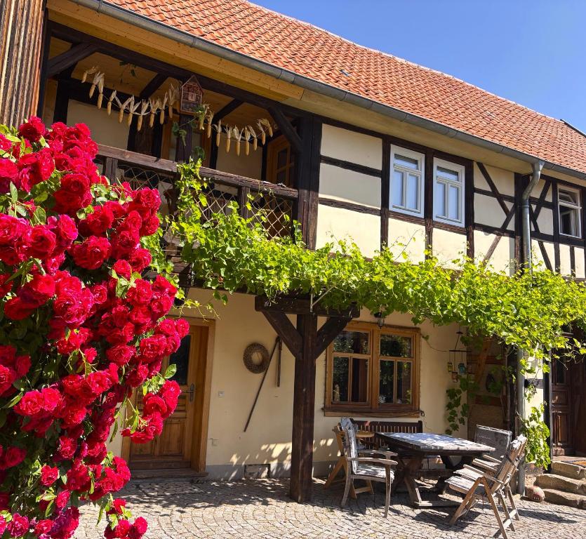 Fachwerkhaus mit rustikalem Weinkeller und Garten, ganze Unterkunft, gute Lage, Laucha