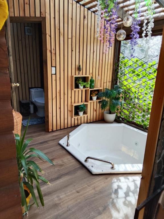 Cabañas Alturas Chillan Katalina - 2