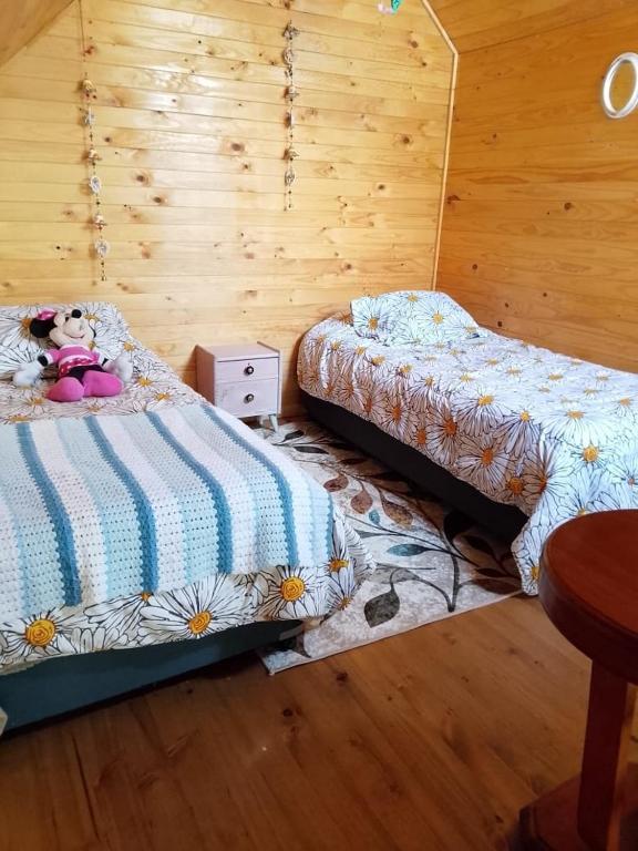 Cabañas Alturas Chillan Katalina - 5