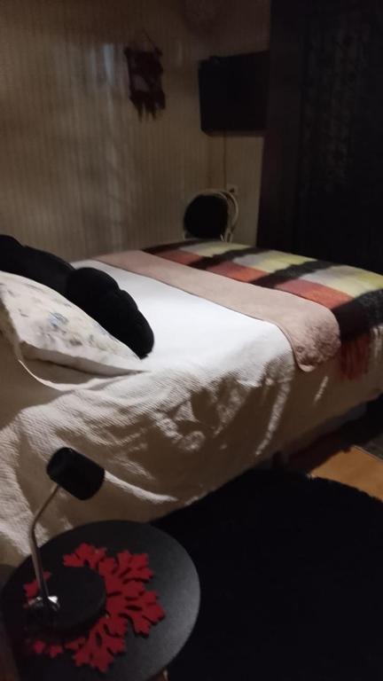 Cabañas Alturas Chillan Benjamin - 2