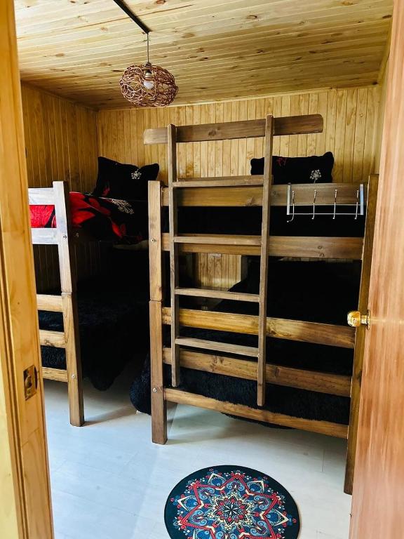 Cabañas Alturas Chillan Benjamin - 4