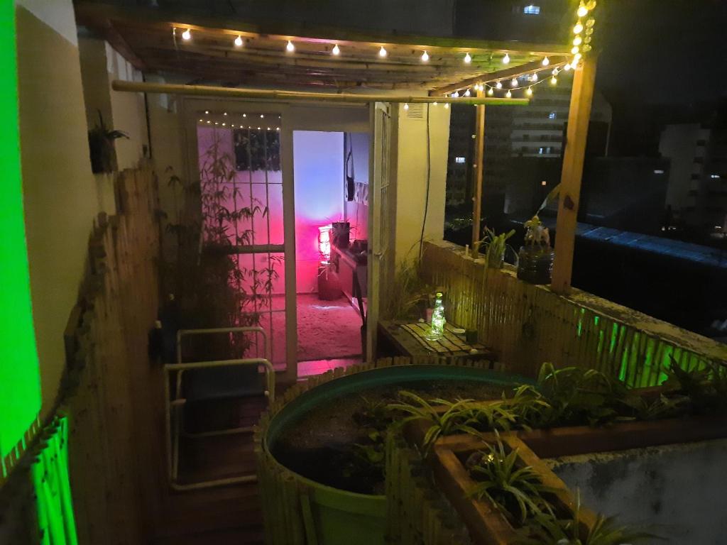 Derpa Zion - 4