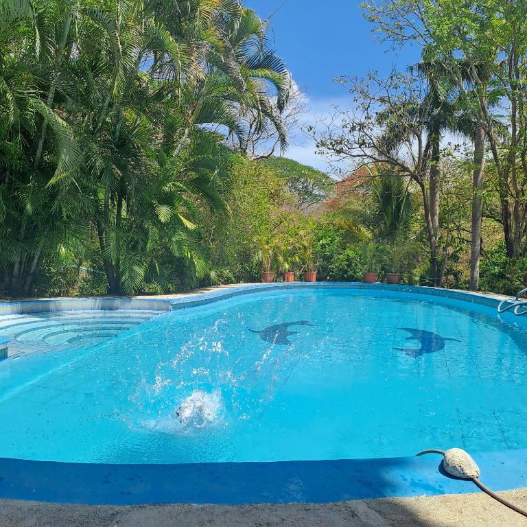 Georgi, Junquillal, Guanacaste