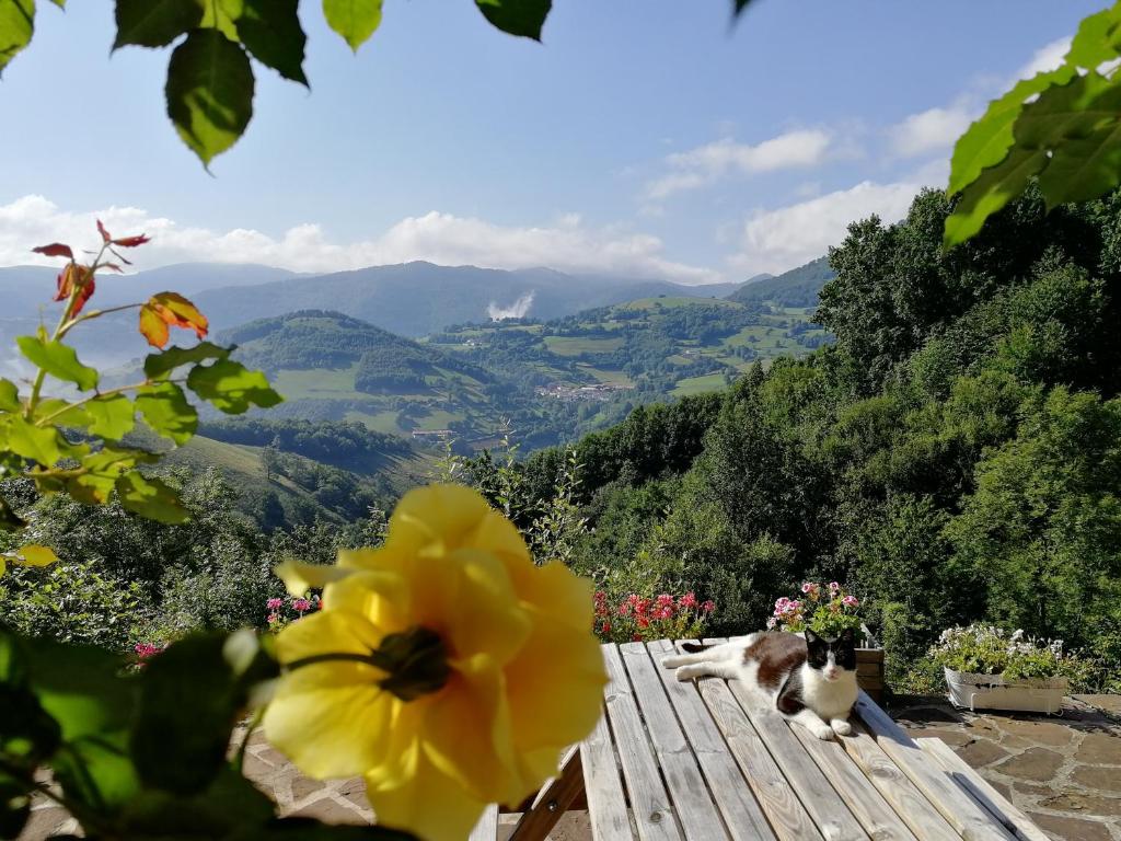 Iaulin Borda B&B, Zubieta