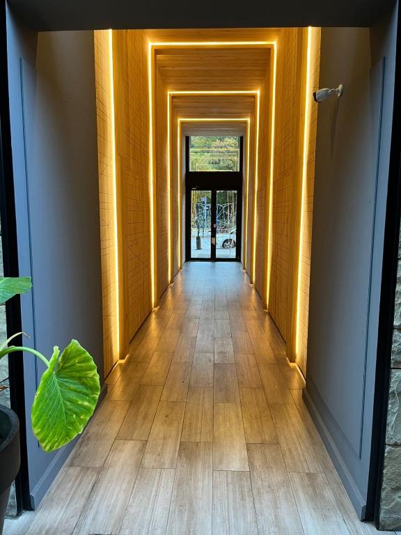 Edificio Pantera - monoambiente 12 - 2