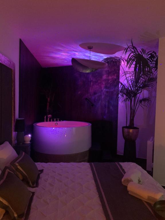 L Emeraude des marais loveroom Bourges - 5