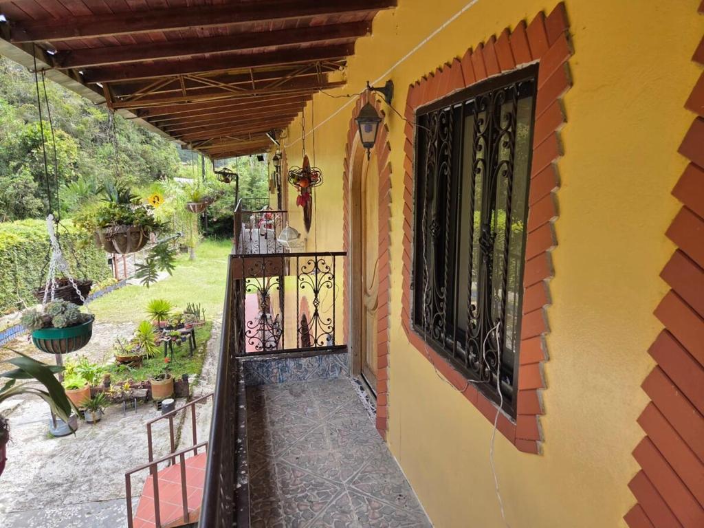 Finca la Martina - 3