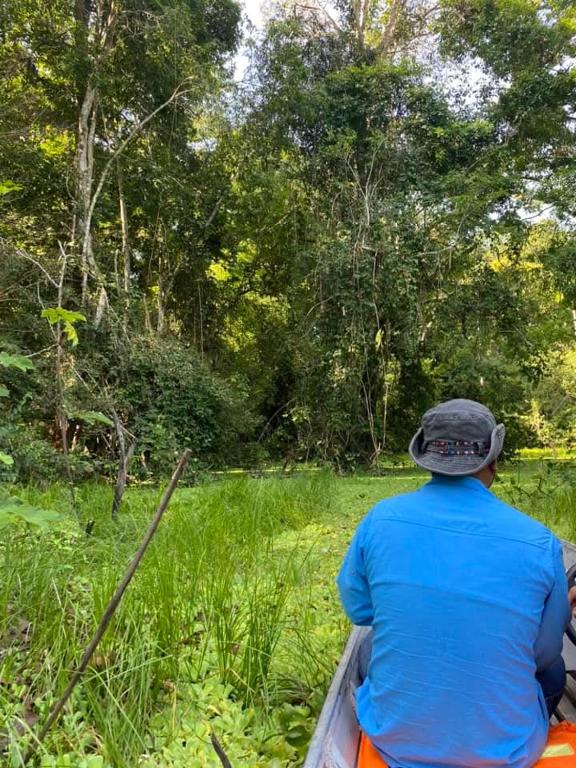 Amazon eagle Explore, Nauta