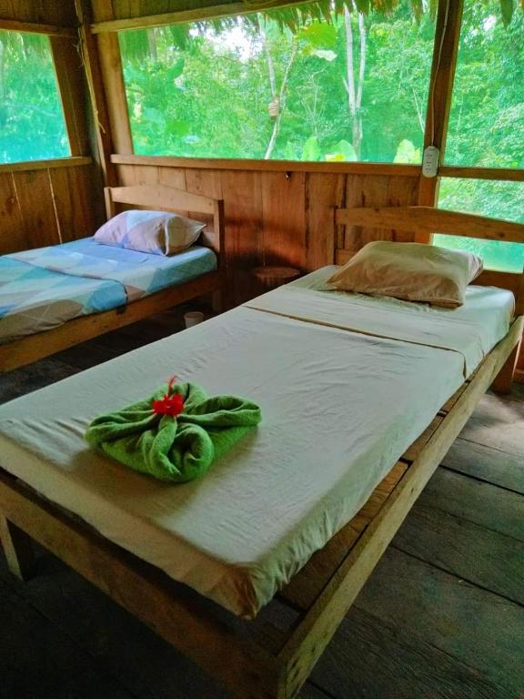 Amazon eagle Explore - 3