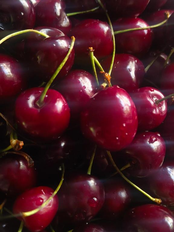 Aangan Residences, Skardu