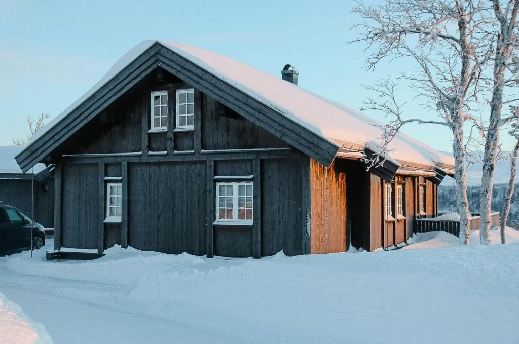 Modern Family Cabin With Views Of Spåtind, Etnedal