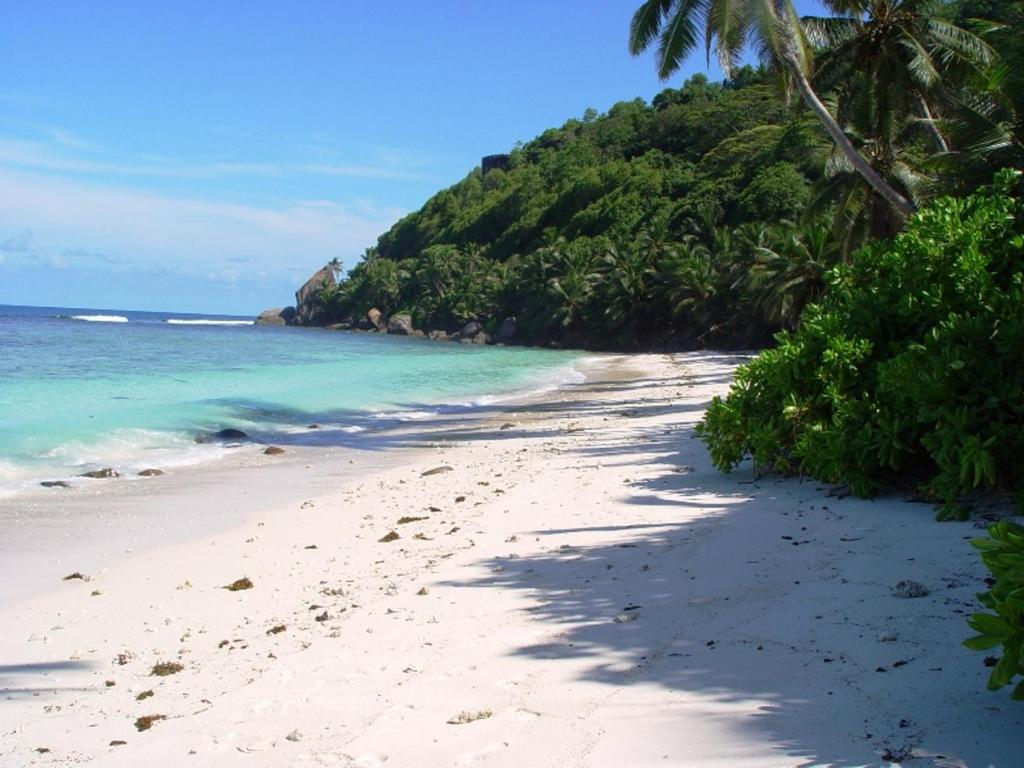 Chalets Bougainville photo
