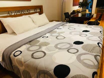 Mini Apartamento con ingreso independiente - 5