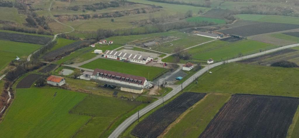 Sólyom Major - Gut Falkenhof, Şoimuşu Mic